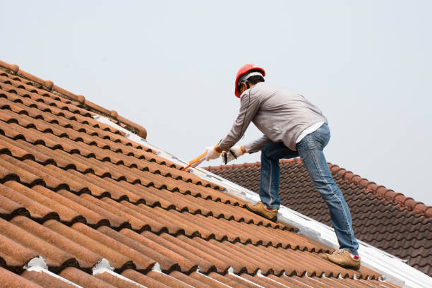 Best Wood Shake Roofing  in Oakdale, MN