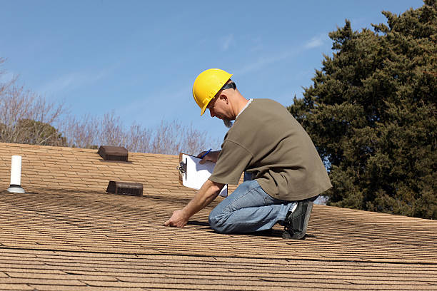 Best Roof Maintenance and Cleaning  in Oakdale, MN