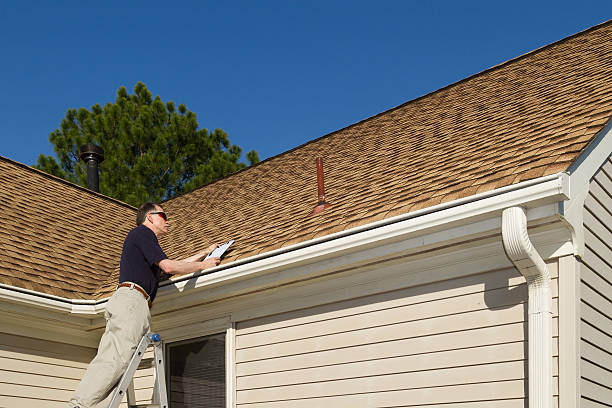 Best Roof Moss and Algae Removal  in Oakdale, MN